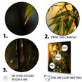 thumbnail image 3 of Designart "Sunset Photography With Bamboo V" Bamboo Floater Framed Canvas Prints, 3 of 5
