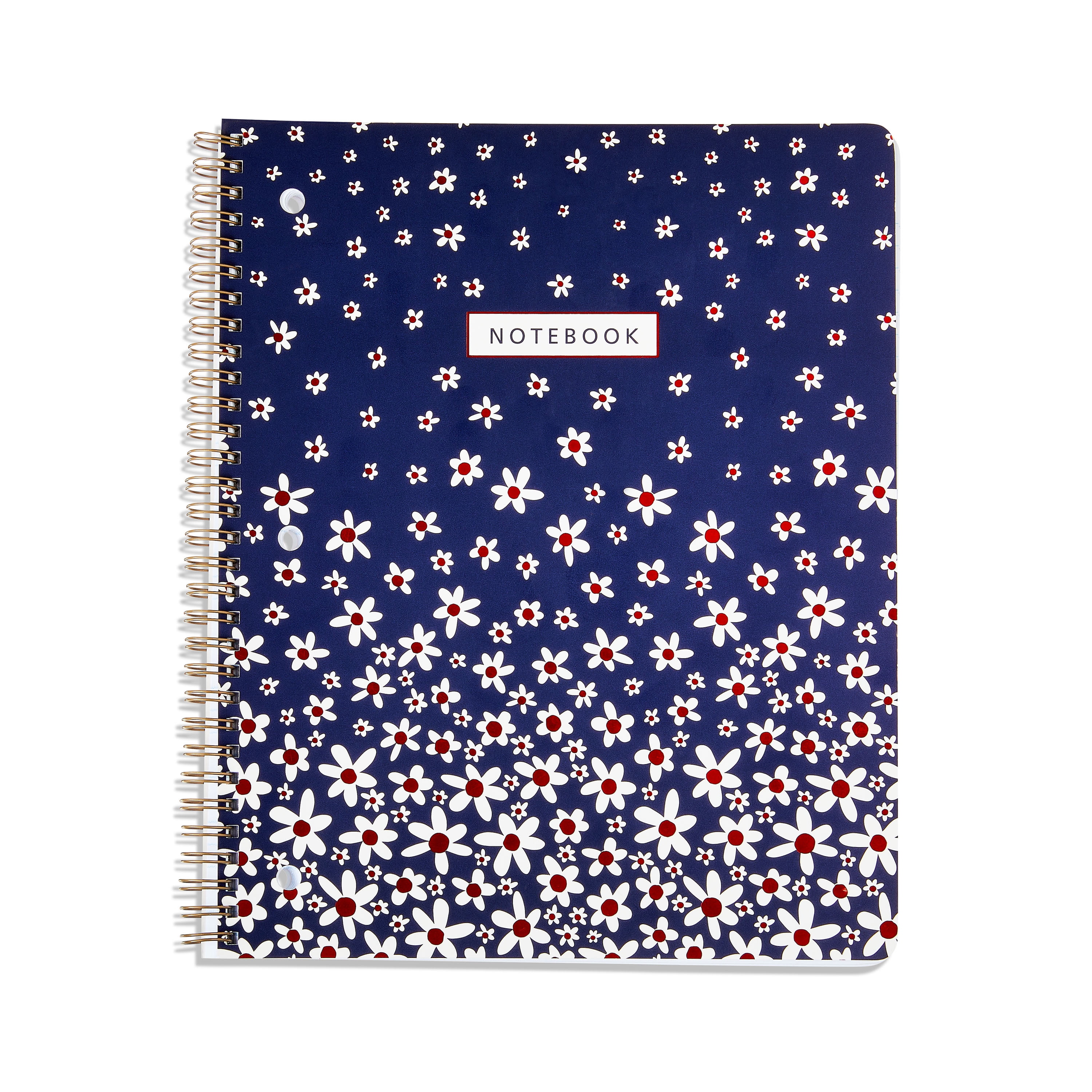 Pen+Gear 1-Subject Notebook, 10.5