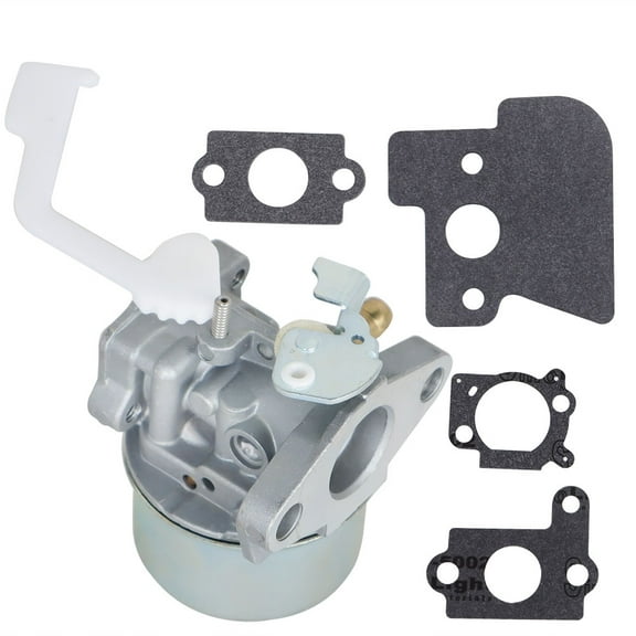 NEW High Quality CARBURETOR Fit For Briggs and Stratton 698055 US STOCK