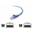 thumbnail image 1 of Belkin Component Certified Cat6 Cable - Patch cable - RJ-45 (M) to RJ-45 (M) - 3 ft - UTP - CAT 6 - snagless - blue, 1 of 8