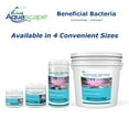 thumbnail image 2 of Aquascape 98948 250g-8.8oz Beneficial Bacteria for Ponds-Dry, 2 of 3