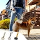 thumbnail image 1 of Herramienta de recogida de excremento de perro | Recogedor de residuos para mascotas con mango ergonómico | Plástico portátil, liviano y duradero | Dispensador de bolsas incorporado | Uso higiénico, 1 of 7