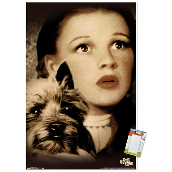 The Wizard Of Oz - Duo Wall Poster, 14.725" x 22.375"