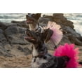 thumbnail image 6 of Light Pink Dog Tutu Skirt | XS-XXXL, 6 of 11