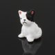 thumbnail image 4 of 1 Pza 1:64 básculas para mascotas modelo de de Diorama Mini modelo accesorios de decoración de (no incluye modelos de - Sentado Hugo estatuillas diminutas en miniatura, 4 of 10