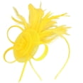 thumbnail image 1 of Tulle Mesh Headpiece,Elegant Hat Clip,Party Performance Hair Accessories,Delicate Lightweight Tulle Mesh Craft With Minimalist Decorative Design,Exquisite Hair Clip Ornament For Party,Yellow, 1 of 7
