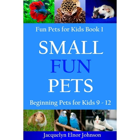 Small Fun Pets: Beginning Pets for Kids 9-12 -