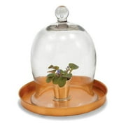 Achla Designs Willamsburg Terrarium Bell Jars