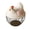 A, variant on Egg Storage Products Colorful Protecting Eggs A Small Highlight In The Kitchen An Ideal Choice For The Family Kitchen.