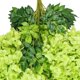 thumbnail image 5 of Falso bastón de glicina colgante de flores de seda para decoración del hogar, boda, fiesta (12 piezas, verde) Rojo Verde, 5 of 5