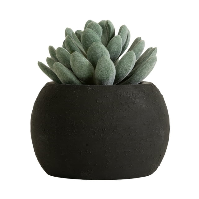 DesignOvation 4"H Tabletop Artificial Succulent in Black Textured Cement Pot
