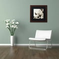 thumbnail image 3 of Trademark Fine Art "Florison 54" Canvas Art by Alan Blaustein, Black Matte, Wood Frame, 3 of 4