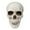 A, variant on Small Skulls Halloween Decor, 2.76 Inch Plastic Fake Skeletons, Mini Skull Heads for Crafts and Outdoor Halloween Decorations, Realistic Human Skull Figurines, Seasonal Decor