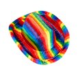 thumbnail image 1 of Rubies Rainbow Mini Cowboy Hat, One Size, 1 of 5