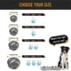 thumbnail image 4 of Juego de cuencos para perros, acero inoxidable, sin derrames, comida y agua a prueba de suciedad con alfombrilla de silicona antideslizante, 4 of 5