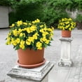 thumbnail image 6 of Artificial Impatiens Flowers 4 Pcs 7 Branches Faux Impatiens Bushes Silk Impatiens Bouquet Faux Flower Outdoor UV Resistant Fake Plants for Patio Lawn Garden Pot Hanging Basket Porch Decor,Yellow, 6 of 8