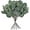 With Seeds, variant on 24PCS Artificial Eucalyptus Leaves Greenery Stems Fake Silk Eucalyptus Leaf for Home Party Wedding Decor