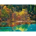 thumbnail image 3 of Krahmer, Frank 18x15 Black Modern Framed Museum Art Print Titled - Forest in autumn colours, Sichuan, China, 3 of 5