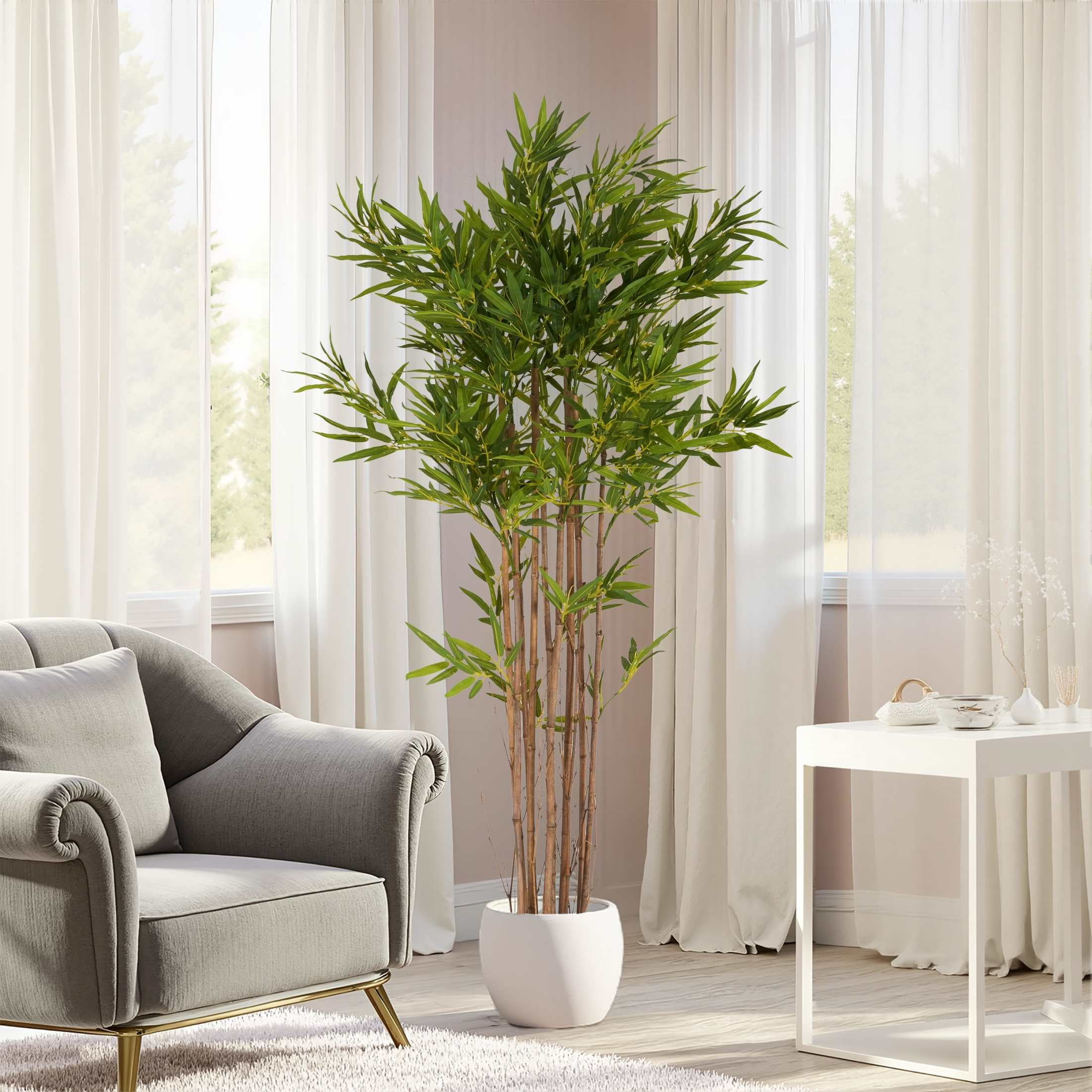 bantel's sensation snake plant Sansevieria Bantel's Sensation | Snake Plant | Care Guide and Pro Tips main image 0