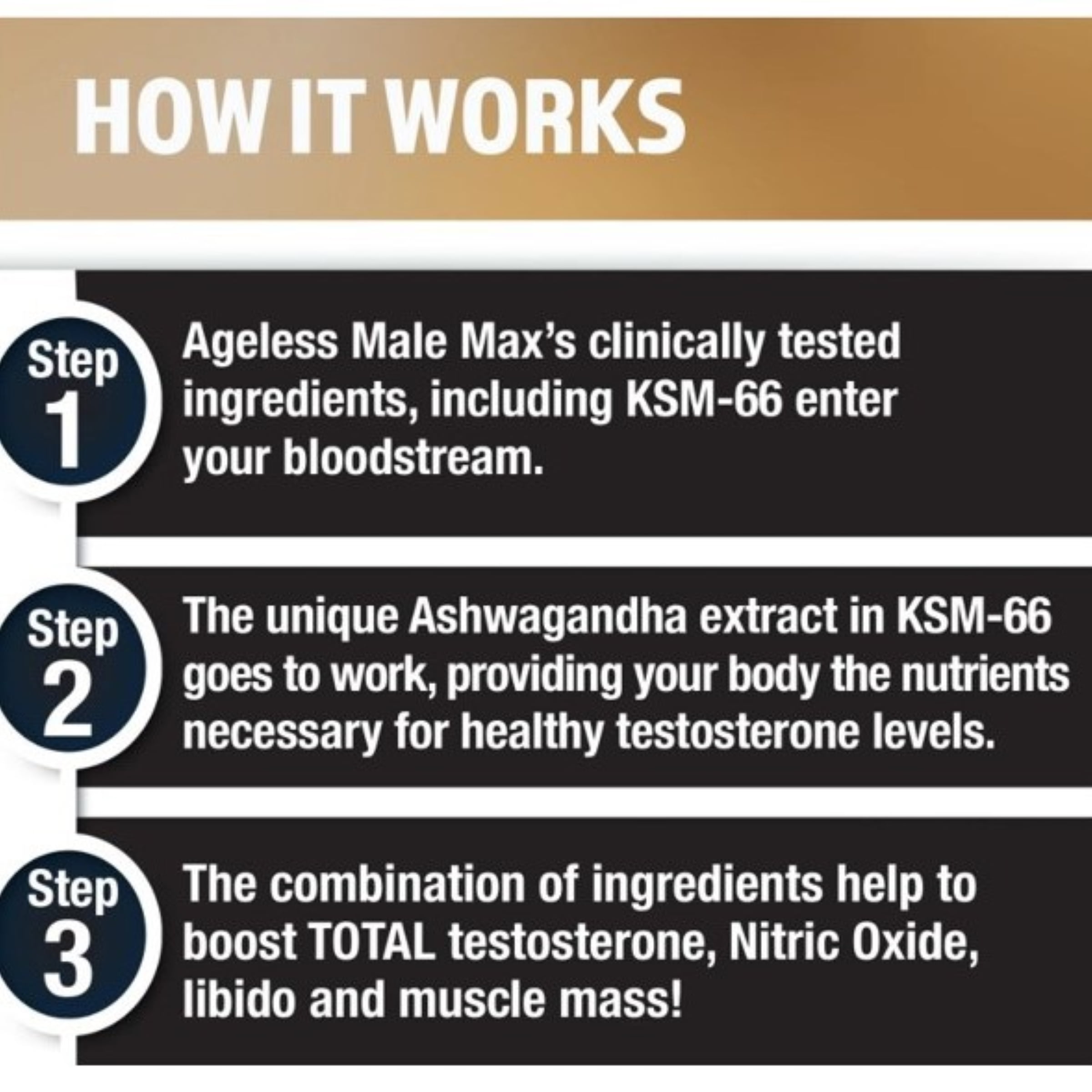 Ageless Male Max Total Testosterone Booster for Men with Ashwagandha, 60 Capsules