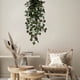 thumbnail image 5 of Cortinas de pared de vegetación artificial, enredaderas decorativas de plantas de interior, guirnaldas de follaje artificial con hojas de plástico, 100 cm de longitud para decoración del hogar, 5 of 8