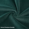 thumbnail image 4 of 2 Pcs Velvet Throw Pillow Case with Tassels, Boho Throw Pillow Cover Decor Cushion Covers, 4 of 8