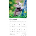 thumbnail image 4 of I Love Kittens | 2026 12x24" (Hanging) Square Wall Calendar | Plastic-Free, 4 of 9