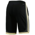 thumbnail image 3 of Men's Nike Black Purdue Boilermakers Replica Performance Shorts, 3 of 3