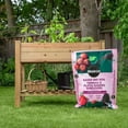 thumbnail image 4 of Miracle-Gro Raised Bed Soil 50L, 4 of 4