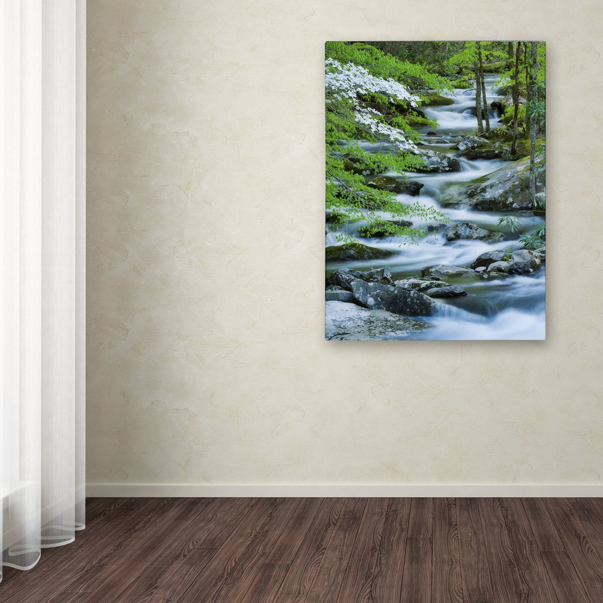 Trademark Fine Art "Flowering Dogwood" Canvas Art by Michael Blanchette Photography