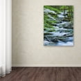 thumbnail image 3 of Trademark Fine Art "Flowering Dogwood" Canvas Art by Michael Blanchette Photography, 3 of 3