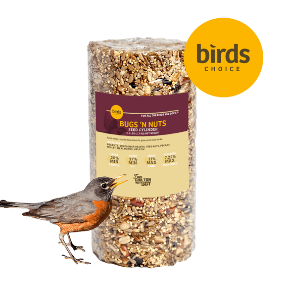 Birds Choice Bugs & Nuts Seed Cylinder - Small