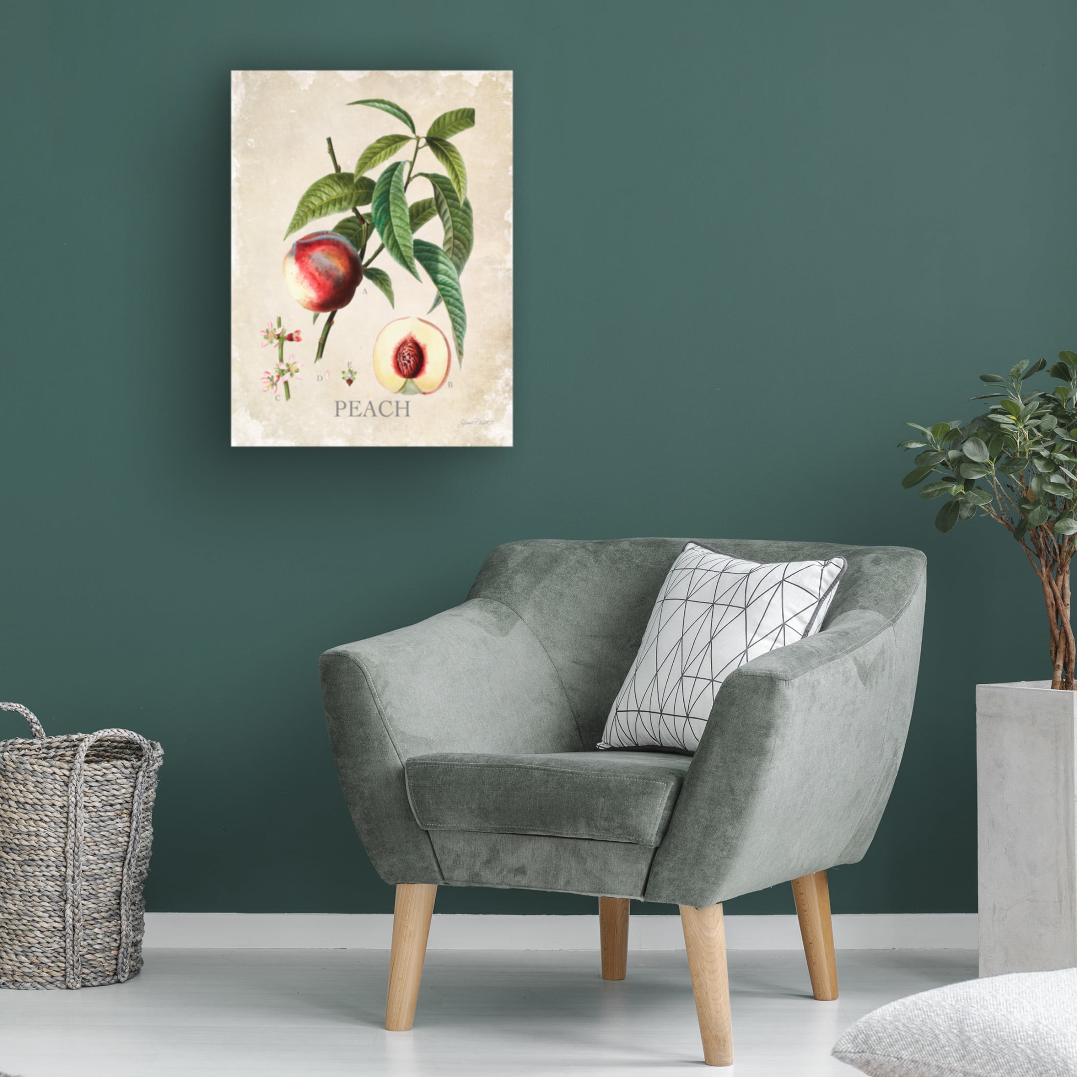 Canvas Wall Art - Jean Plout 'Luscious Fruit Study B' Wall Art for Living Room, Bedroom, or Office Décor by Trademark Fine Art - 14 x 19 Inches