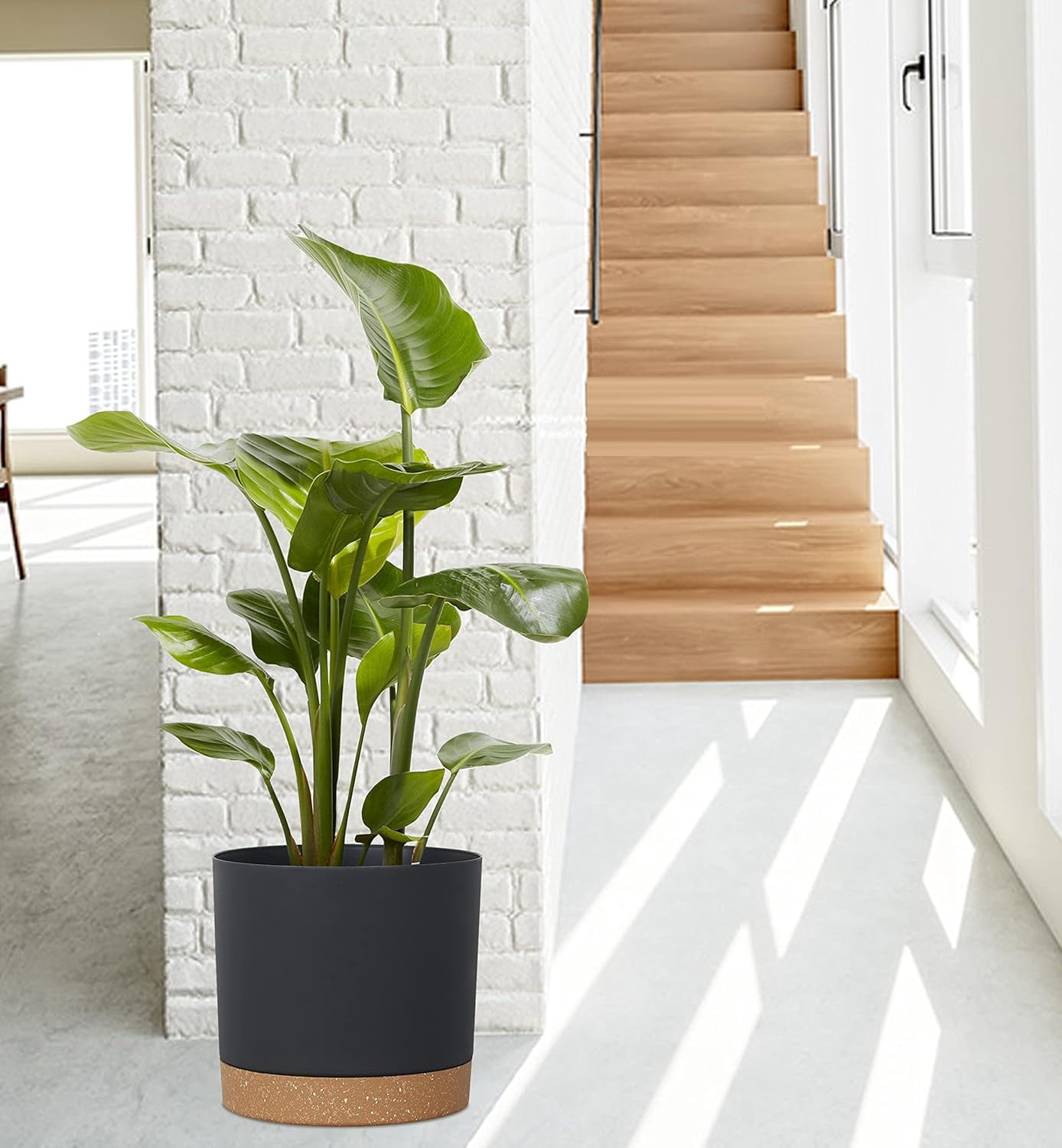 Plant Pots for Indoor Plants, 2 Pack 12 Inch Pots for Plants, Lightweight Large Planters for Indoor Plants Outdoor Plants, Big Plastic Black Plant Pot Flower Pot with Drainage (12” Black)