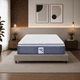 thumbnail image 2 of Colchon Spring Air Vendome Matrimonial + 2 Almohadas SC + 1 Protector de Colchon Ensueño + 1 Juego de Sabanas Ensueño Spring Air Vendome, 2 of 4