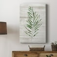 thumbnail image 5 of Tropic Frond II Premium Gallery Wrapped Canvas - Ready to Hang, 5 of 9