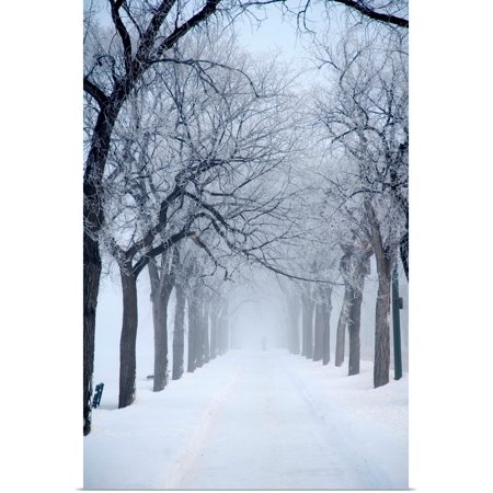 Great BIG Canvas | Rolled Keith Levit Poster Print entitled Grove Of Trees In Winter Fog, Assiniboine Park, Winnipeg, Manitoba, Canada