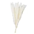 thumbnail image 1 of 15 secas de hierba pampa de 20 pulgadas de largo, color blanco para bodas, fiestas, bohemios, decoración del hogar, arreglos florales Zulema Hierba de pampa seca, 1 of 8