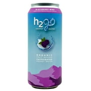 h2go Energy Water, Blackberry Mint (Pack of 12) Fruit-Infused Caffeinated Energy Water, Organic, Zero Sugar, Zero Calories, Zero Artificials