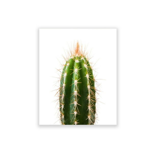 Humble Chic Spiky Cactus Plant Succulent 8x10 Vertical Unframed Wall Art Poster Print Walmart Com Walmart Com