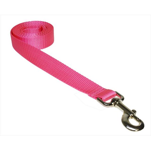 6 ft. Nylon Webbing Dog Leash, Pink - Large