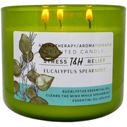 Eucalyptus Spearmint Candles | 3 Wick Candle | Scented Candle For Home | Essential Oil Candles For Men and Women