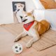 thumbnail image 3 of Juguete de pelota para entrenamiento de mascotas, mordedor para dientes, juguetes interactivos para la dentición de cachorros, chirriante para perros, 3 of 6