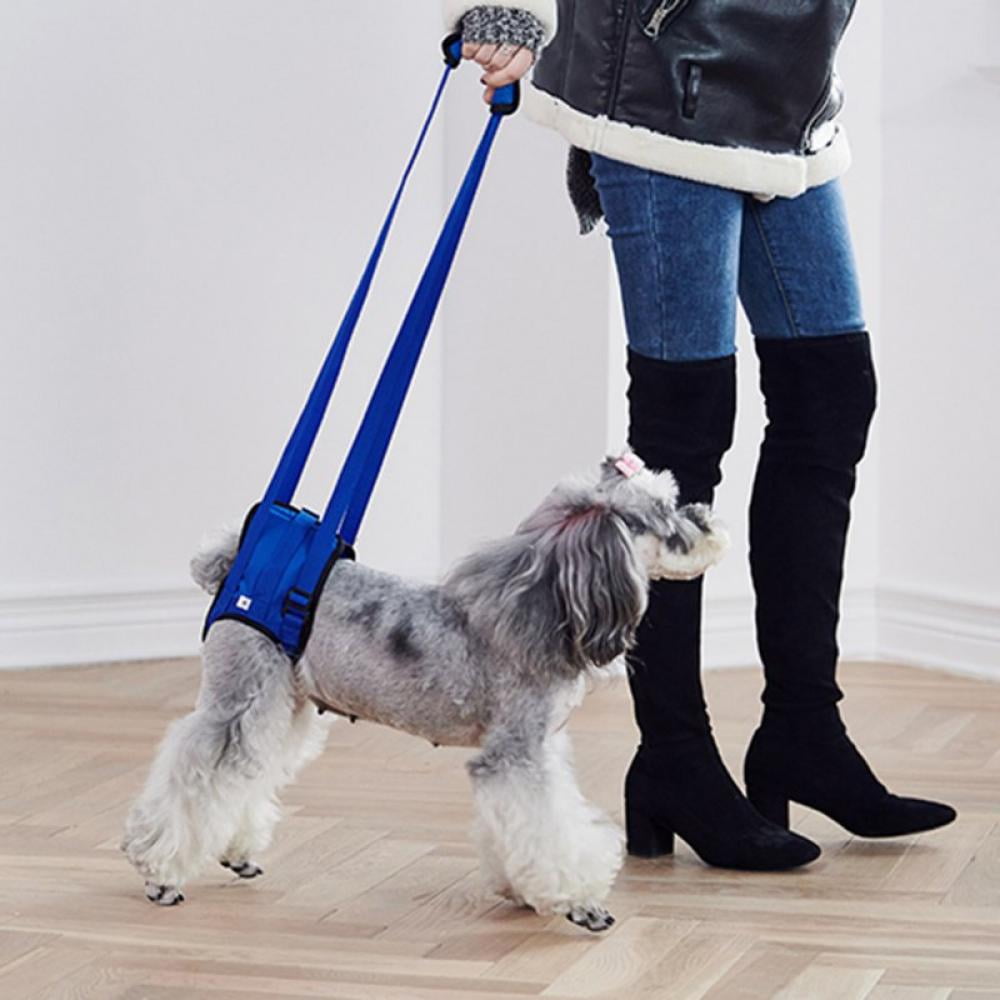 Maynos Rear Support Harness Lifting Aid with Handle and Shoulder Strap Great for Pet
