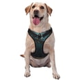 thumbnail image 1 of Fotbe Magical Library Butterfly Night Arnés para Perro con Estampado –Chaleco Ajustable Acolchado con Asa de Control para Perros Grandes-Large, 1 of 6