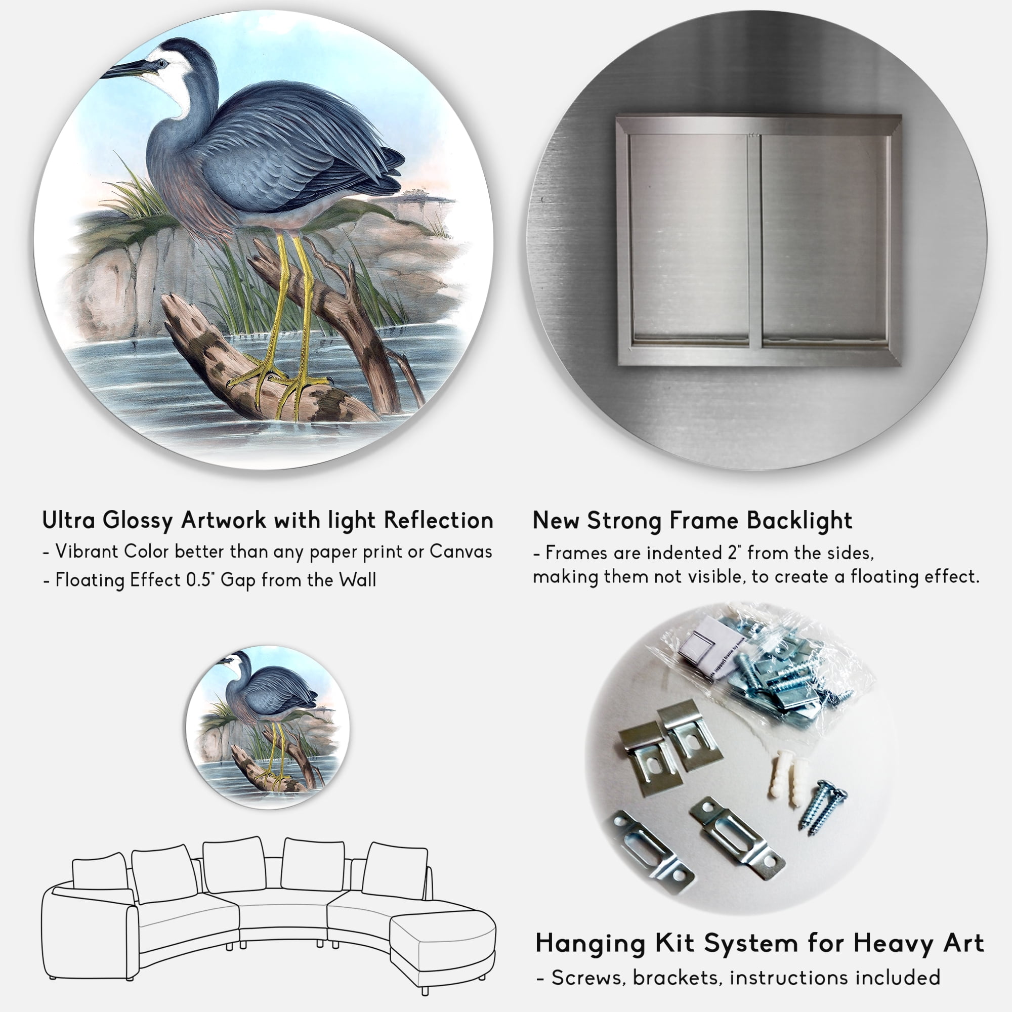 Designart 'Ancient Australian Birds II' Traditional Circle Metal Wall Art 23x23 - Disc of 23