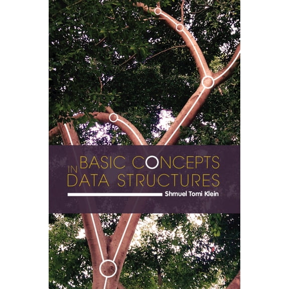 Basic Concepts in Data Structures, (Paperback)