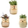 thumbnail image 3 of 12 PCS Owl Pot Ceramic Flowing Glaze Base Serial Set Mini Succulent Plant Pot Cactus Plant Pot Container Planter Bonsai, 3 of 5