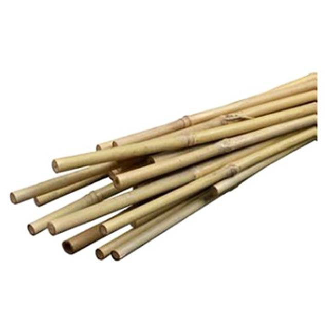 10/12 mm pack of 100 Garden Stakes 60 centimeters long 1.97 ft Plant Support Poles DIXIESTORE Bamboo Canes 35