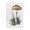 Watercolor Mushrooms Splash, variant on Stupell Industries Farmhouse Mushroom Watercolor Splash Black Floating Frame Canvas Art, 17 x 21, by Petals Prints Design